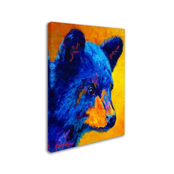 Marion Rose 'Black Bear Cub 2' Canvas Art,24x32